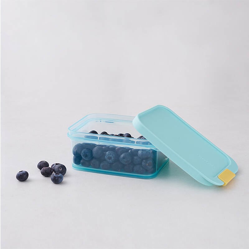 Hộp Trữ Đông Thực Phẩm Freezer Fit Locknlock Màu Tự Nhiên nhiều dung tích- HFL10 image number null